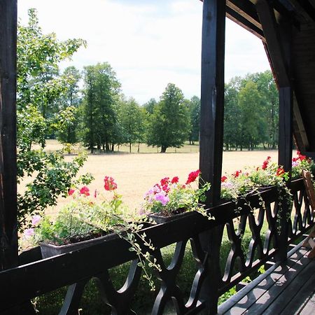 Landgasthof Zur Wildbahn Burg  Esterno foto
