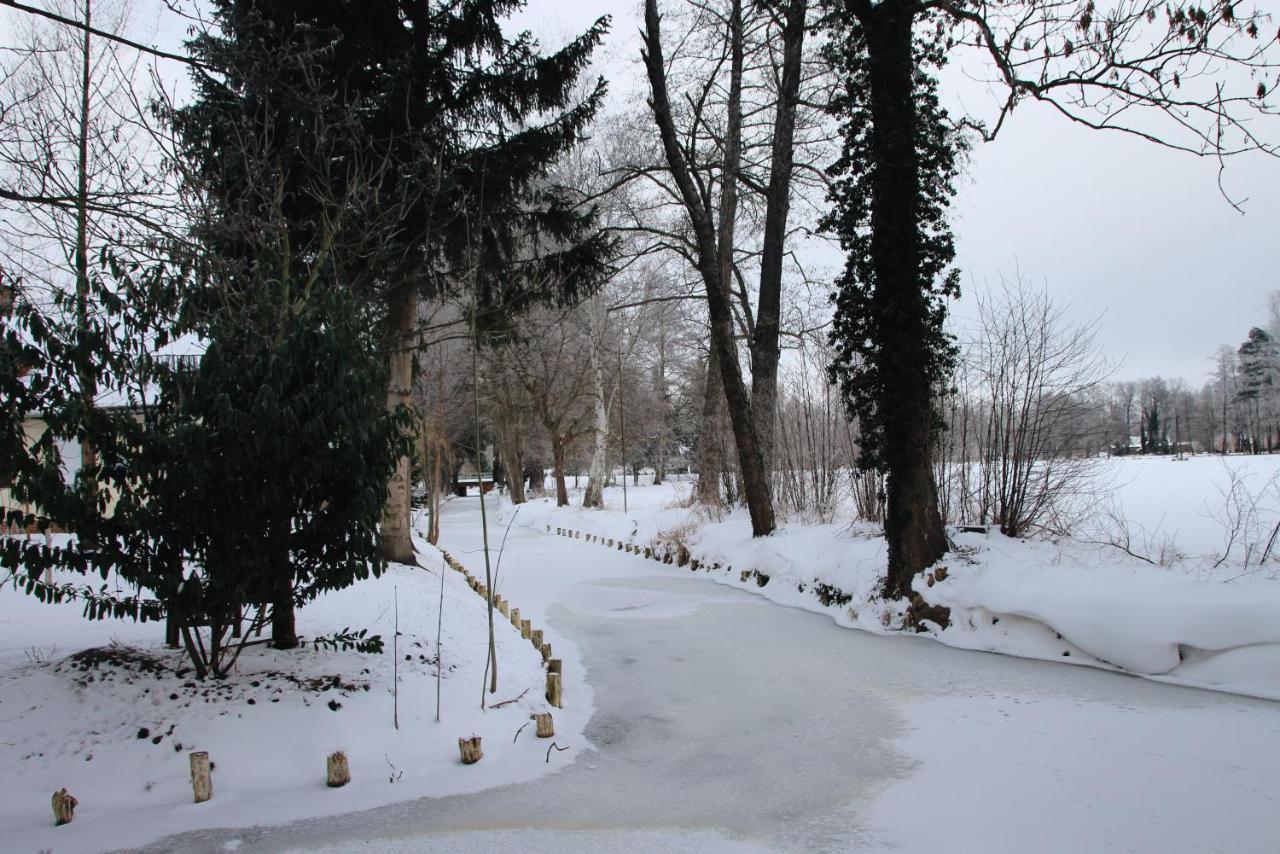 Landgasthof Zur Wildbahn Burg  Esterno foto
